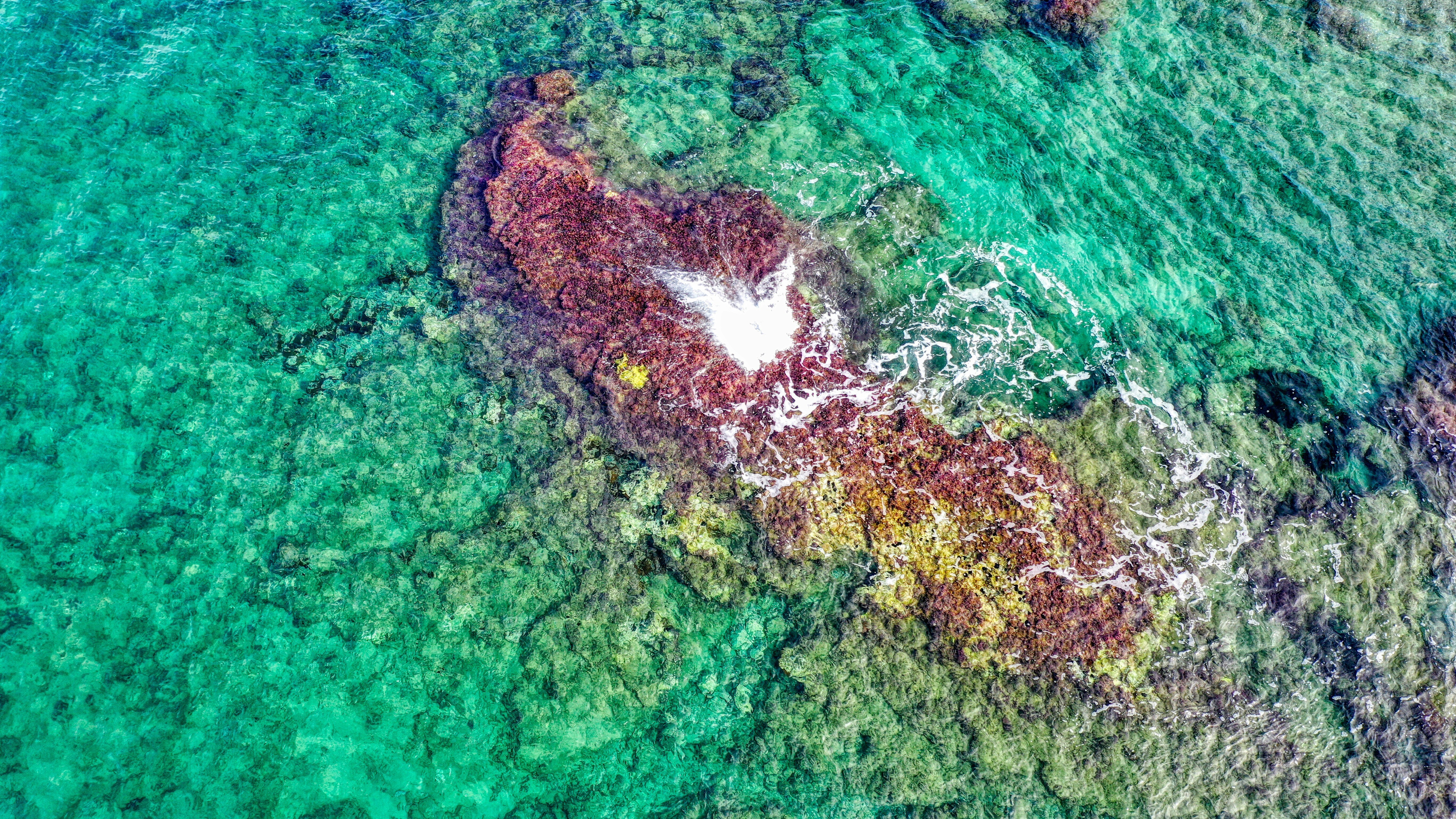 Kokkini