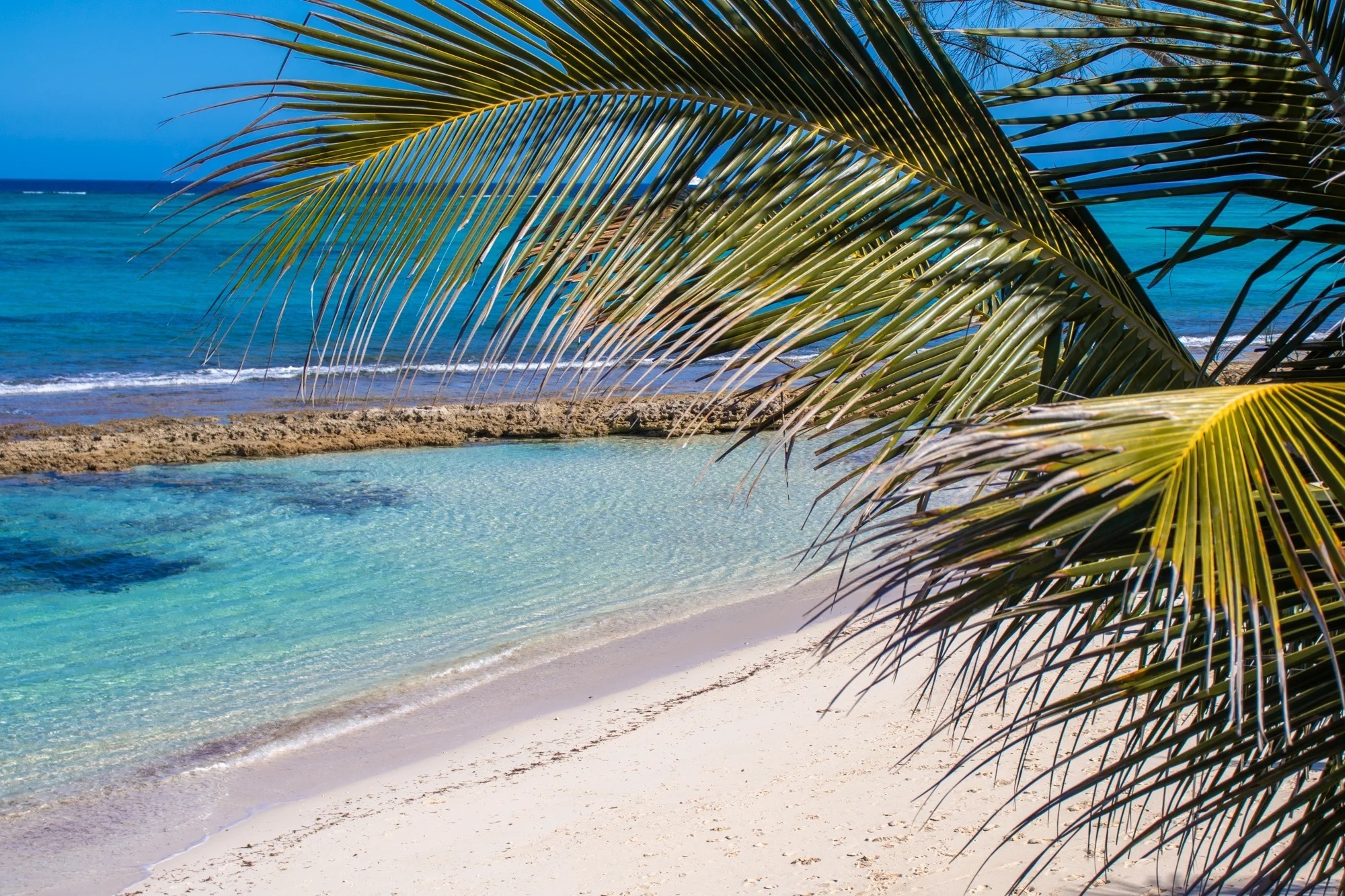 Lyford Cay and Albany
