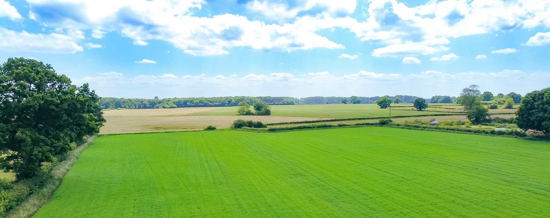 Hindolveston