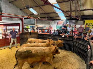 July Cattle & Sheep Fair