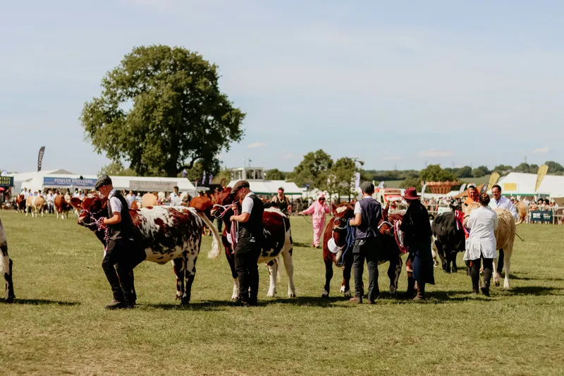 Edenbridge & Oxted Show 2026