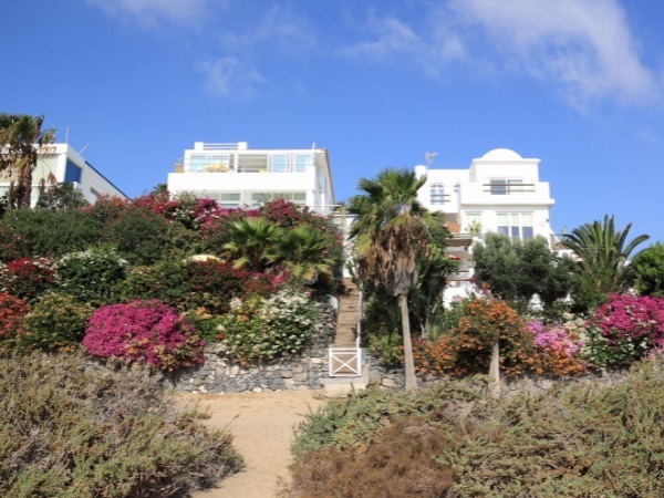 Luxury and waterfront homes