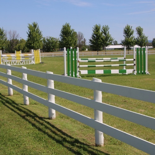 Equestrian