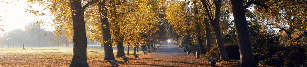Image of a London park in autumn