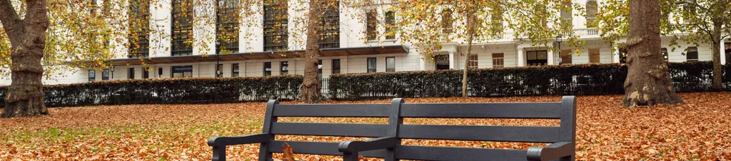 Image of the edge of a London park in autumn