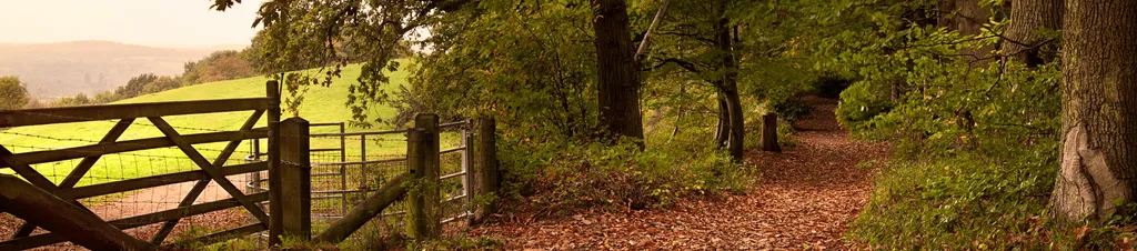 Image of a countryside walk in autumn