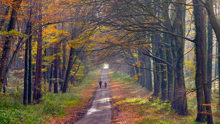 Five Norfolk places to make a little space for yourself hero