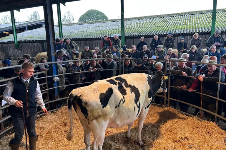 News | CE Veysey Dispersal Sale Attracts Large Crowd