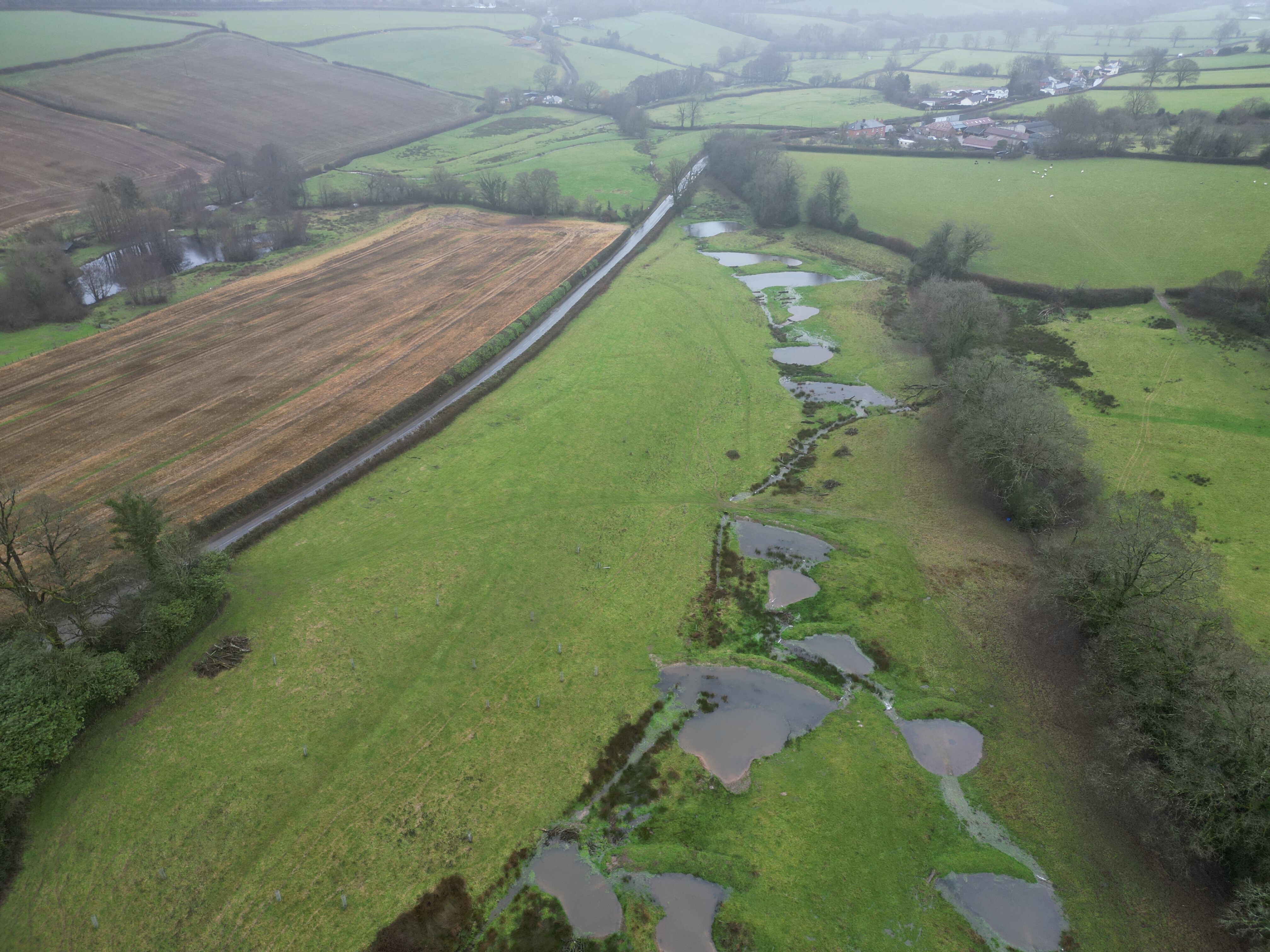Calverleigh Wetlands Project Water Meadow - Completed